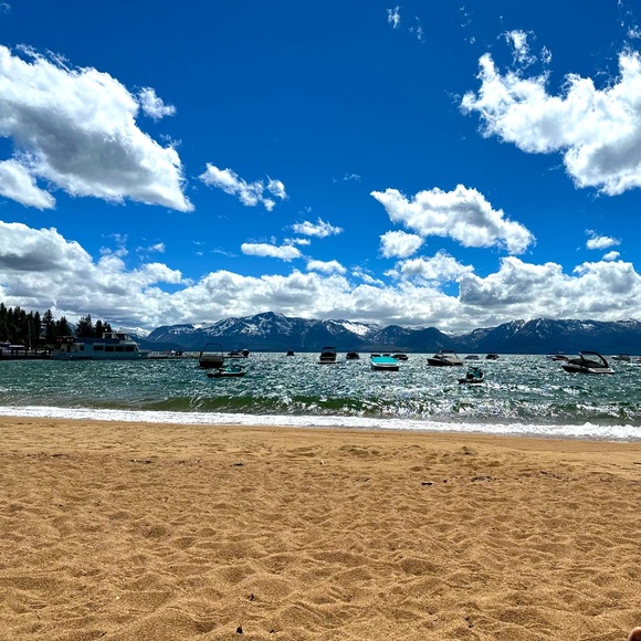 Meet your Posher, Aloha - Picture 3 of 6